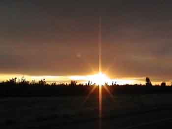 IMAGE001