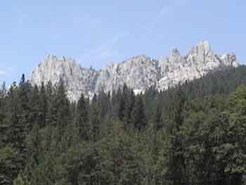 IMAGE003