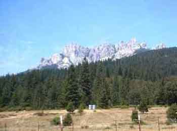 IMAGE004