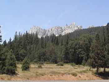IMAGE005