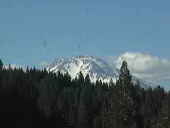 IMAGE008